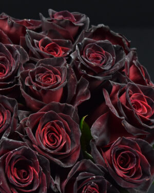 Rose Black Baccara Flowers WA Perth 2