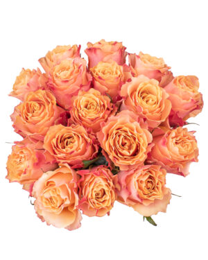 carpe diem rose peach pink orange fresh flowers wa 20