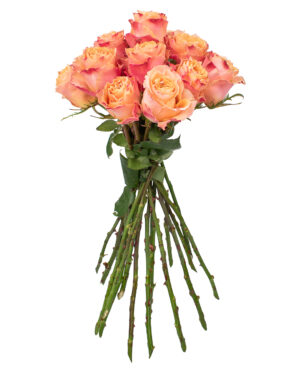 carpe diem rose peach pink orange fresh flowers wa 28