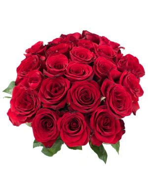 finally rose red deep fresh flowers wa 6