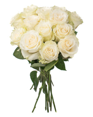 mondial white yellow green rose fresh flowers wa 1