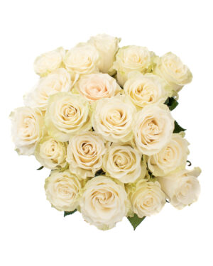 mondial white yellow green rose fresh flowers wa 3