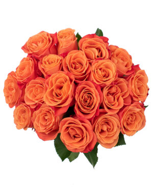 orange crush orange fresh flowers wa 9