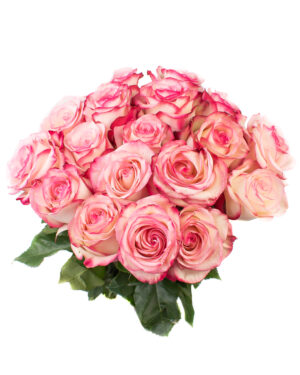 paloma rose pink beige fresh flowers wa 9