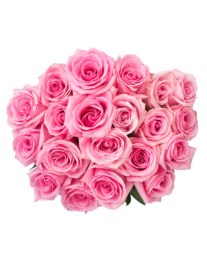 pink candy pink rose fresh flowers wa 3