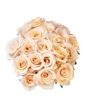 queen of pearl rose cream beige fresh flowers wa beige yellow rose fresh flowers wa 3