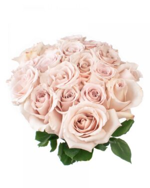 quicksand rose blush pink fresh flowers wa 6 2 e1626082727815 1