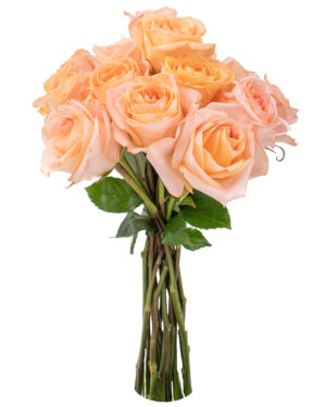 tiffany rose peach pink orange fresh flowers wa 12