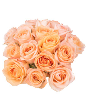 tiffany rose peach pink orange fresh flowers wa 6