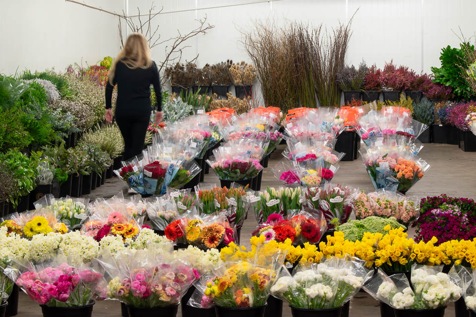 Exploring the breathtaking variety of gorgeous farm fresh flowers and foliage at Flowers WA - Perth Wholesale Market