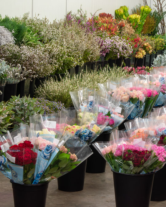 Fresh flowers from the best farms are on display at Flowers WA- Perth wholesale market.