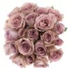 Rose Amnesia Lavender Flowers WA Perth