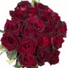 Rose Black Baccara Red Black Flowers WA Perth