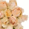 Rose Carpe Diem Cream Flowers WA Perth