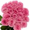 Rose Pink Candy Flowers WA Perth