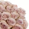 Rose Quicksand Cream Flowers WA Perth