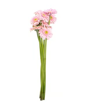 Gerbera Pink x5 Stems