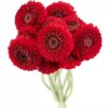 Gerbera Mini Red Flowers WA Perth