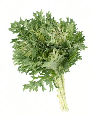 Kale Frilly Green Flowers WA Perth