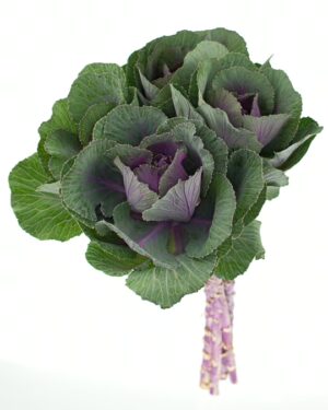 Kale Green Purple Flowers WA Perth