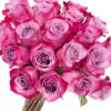 Rose Deep Purple Lavender Flowers WA Perth