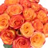 Rose High & Magic Orange Red Flowers WA Perth
