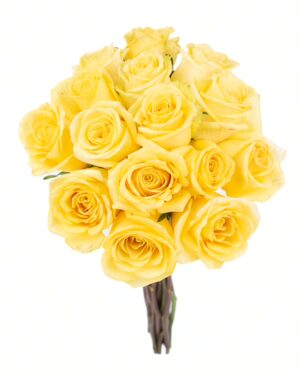Rose Stardust Yellow Flowers WA Perth