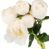 Peony Bridal Shower White Flowers WA Perth