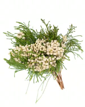 Brunia White Flowers WA Perth